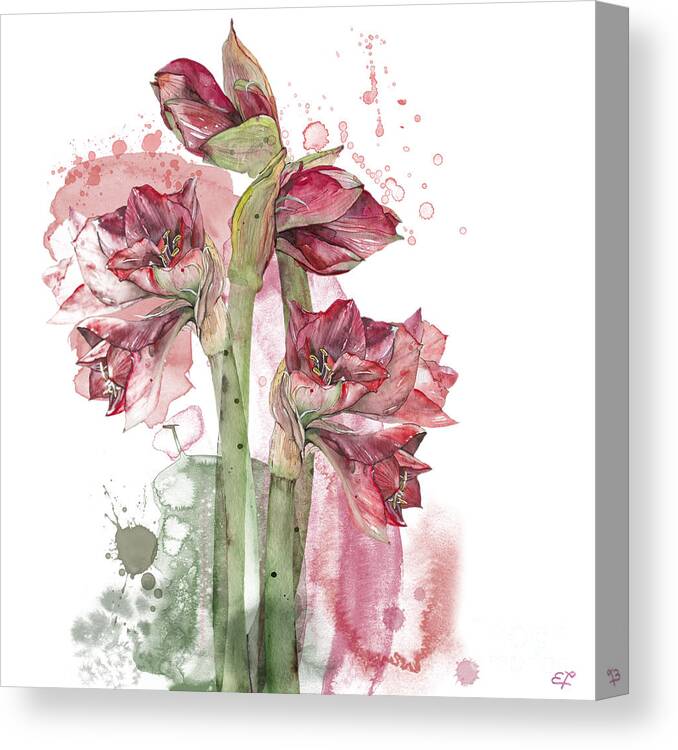 Amaryllis Canvas Print featuring the painting Amaryllis Flowers - 3. - Elena Yakubovich by Elena Daniel Yakubovich