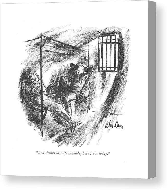 110689 Adu Alan Dunn One Prisoner To Another.
 Another Antibiotic Antibiotics Cell Convict Correctional Crime Criminals Cure Cured Drug Drugs Escape Facility Ill Illness Illnesses Incarcerate Incarcerated Incarceration Jail Medicine One Prison Prisoner Prisoners Sick Sickness Sulfa Canvas Print featuring the drawing And Thanks To Sulfanilamide by Alan Dunn