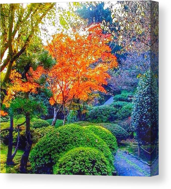 Color Canvas Print featuring the photograph Another Inviting Path From The Portland by Anna Porter