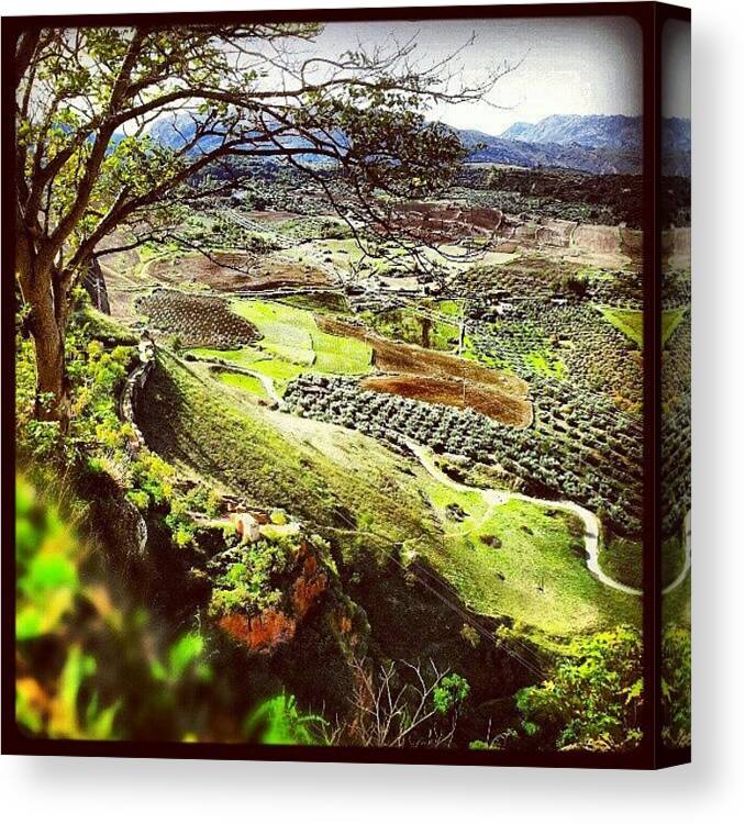 Andalusia Canvas Print featuring the photograph Another View From #ronda #andalusia by Alistair Ford
