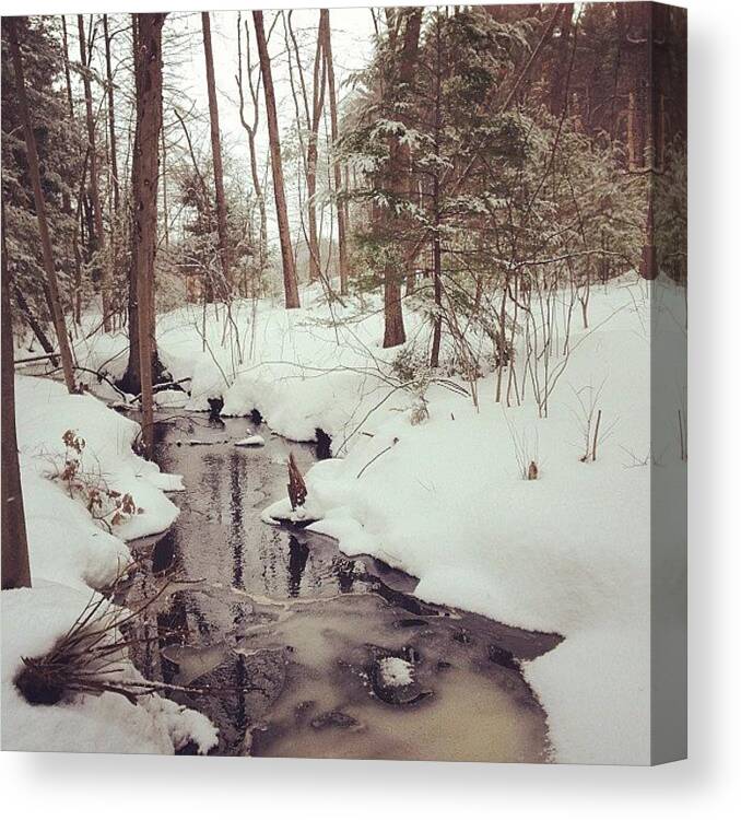  Canvas Print featuring the photograph Another Winter Creek by Midlyfemama Kosboth