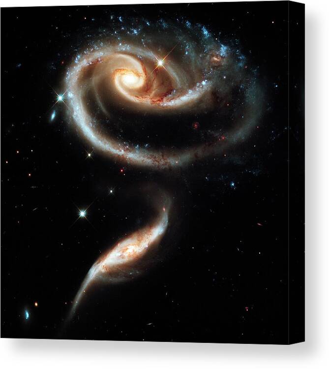 Arp 273 Canvas Print featuring the photograph Arp 273 Interacting Galaxies by Nasa/esa/hubble Heritage Team (stsci/aura)/science Photo Library