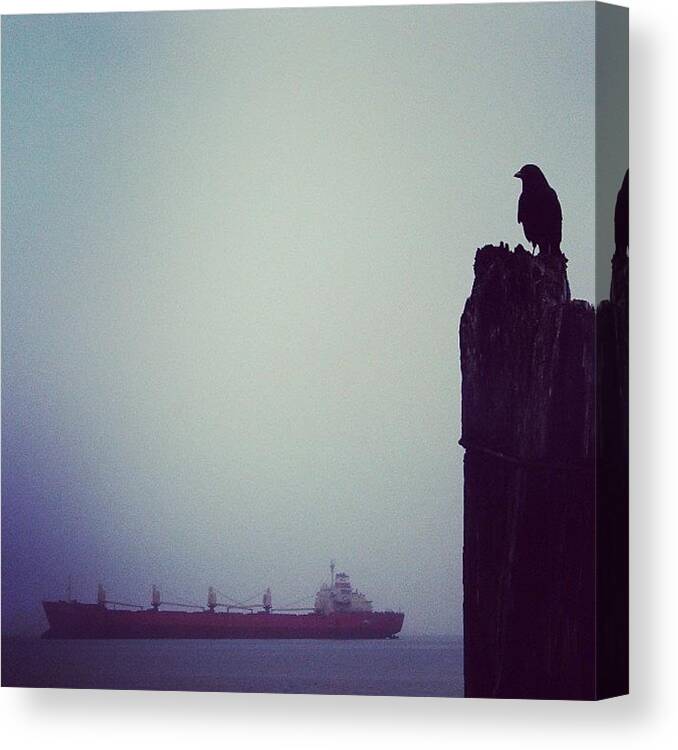 Nature Canvas Print featuring the photograph #astoria #oregon #bird #crow #raven by Karen Clarke