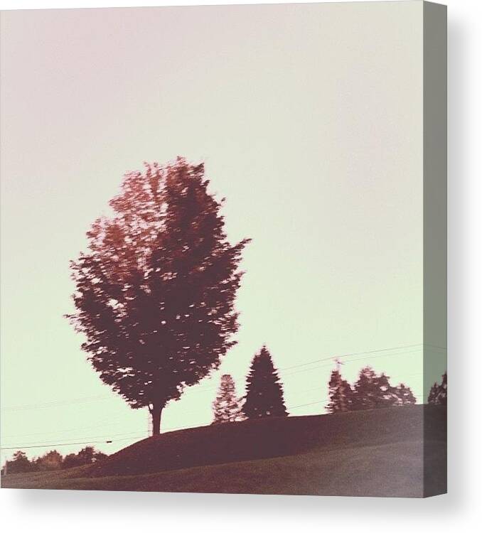 Vermont Canvas Print featuring the photograph At The Bay Series #trees #landscape by Red Jersey