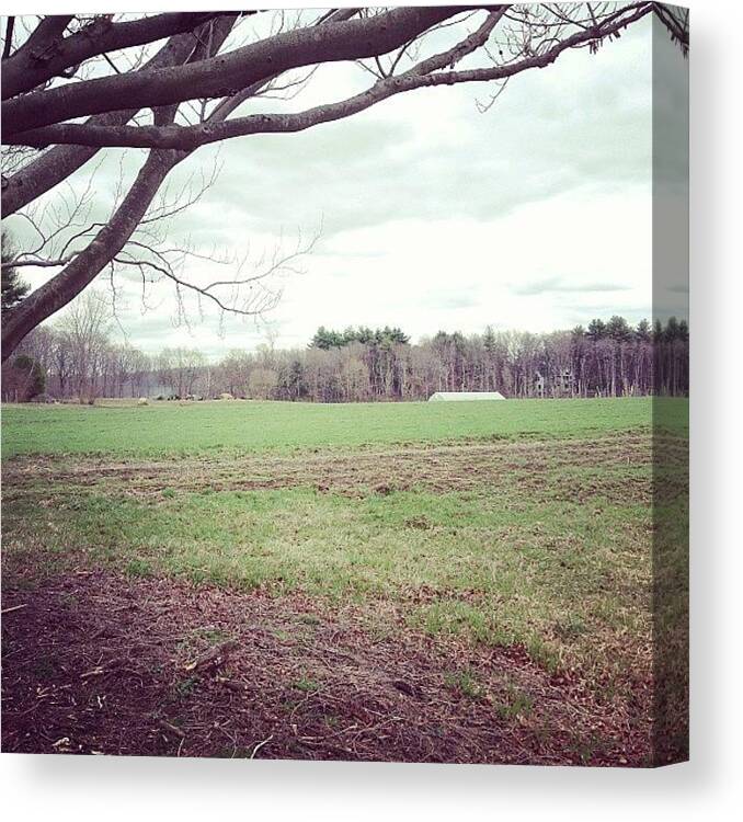 Canvas Print featuring the photograph At The Woods. Looking At The Farm by Midlyfemama Kosboth