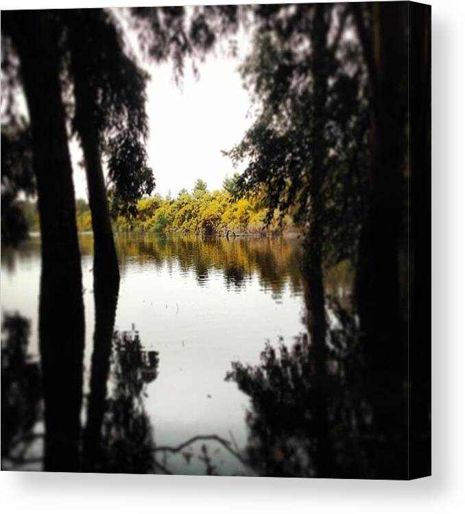 Scenery Canvas Print featuring the photograph Athalassa Park Lake Reflections by Christina Kaniklidou Arkatites