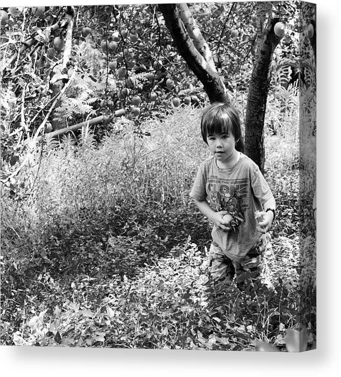  Canvas Print featuring the photograph Austin Thick In The Apple Tree by Meredith Leah