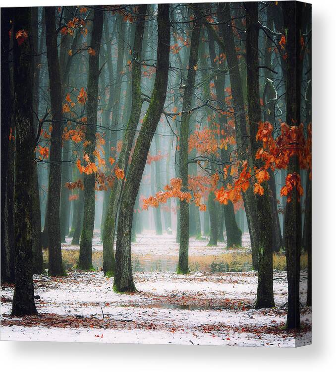Red Canvas Print featuring the photograph Autumn In My Soul by Alexandra Fira