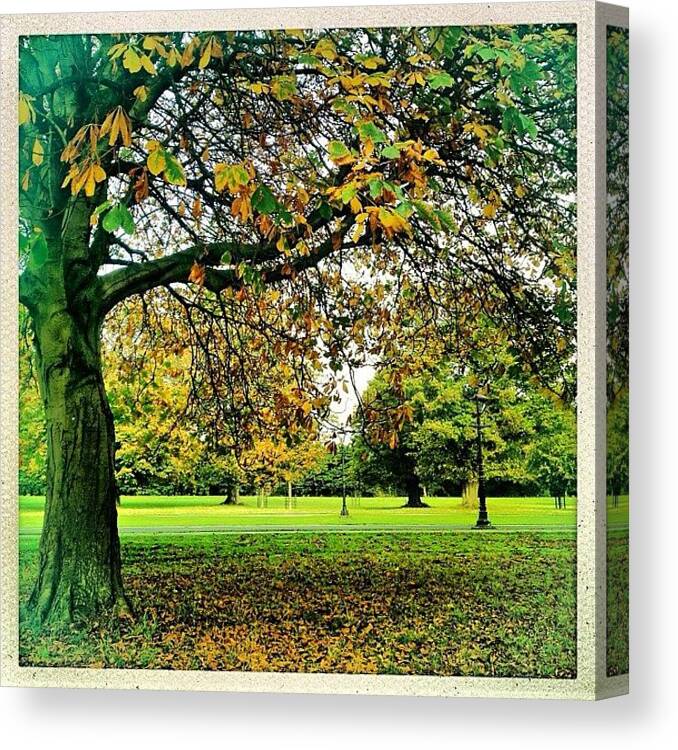Autumn Canvas Print featuring the photograph #autumn In The Park. #dublin by David Lynch