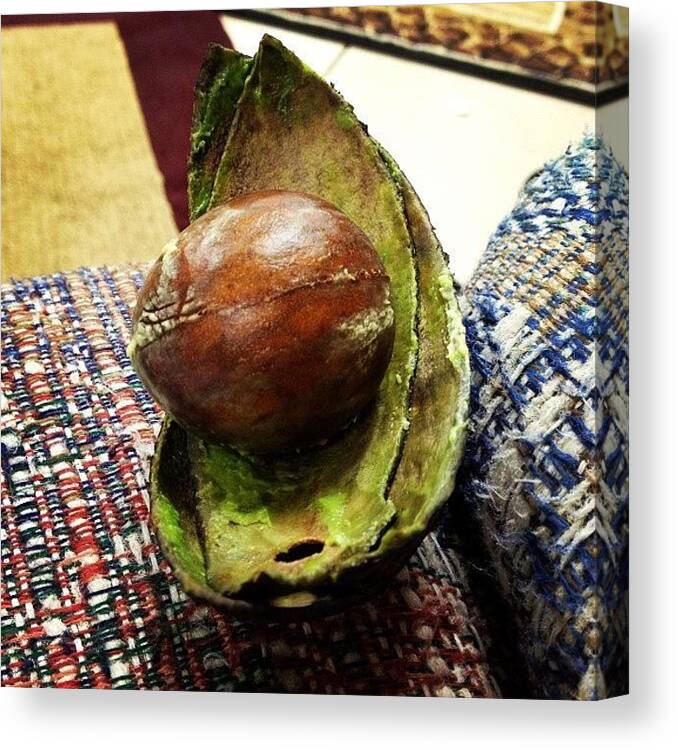 Dinner Canvas Print featuring the photograph #avocado #dinner #wonderful #yesss by Danielle McComb
