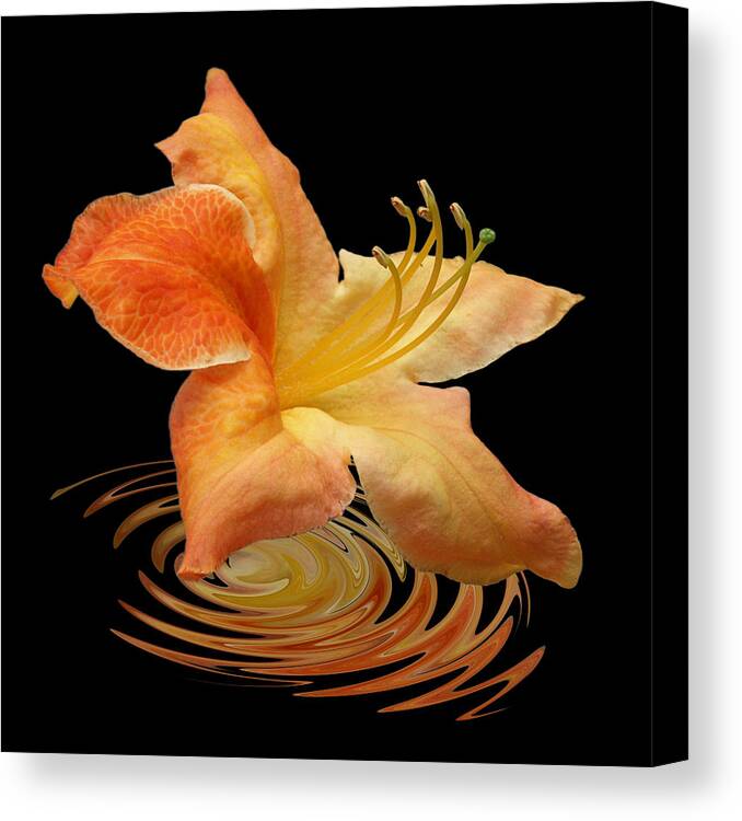 Orange Flower Canvas Print featuring the photograph Azalea Ripples by Gill Billington