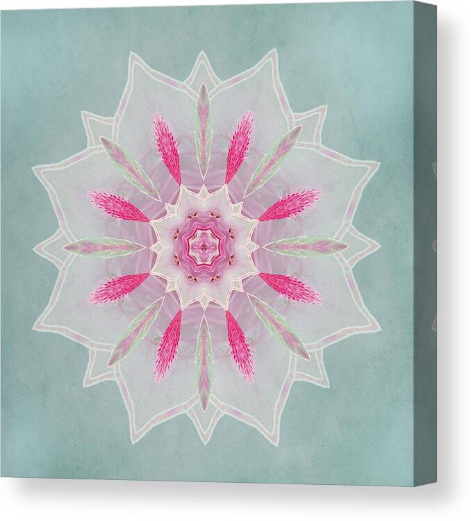Abstract Canvas Print featuring the photograph Azalea Veil Lotus by Deborah Smith