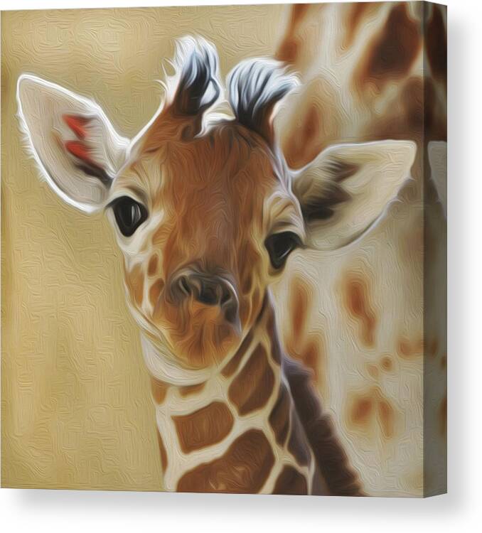 Giraffe Canvas Print featuring the photograph Baby Zara by Jewels Hamrick