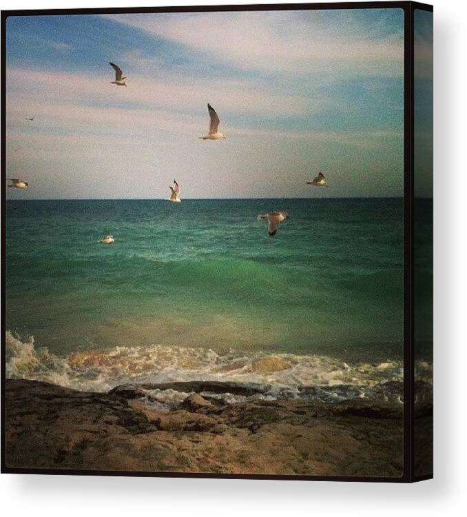  Canvas Print featuring the photograph Bahamas 2012 by Cris Andrews