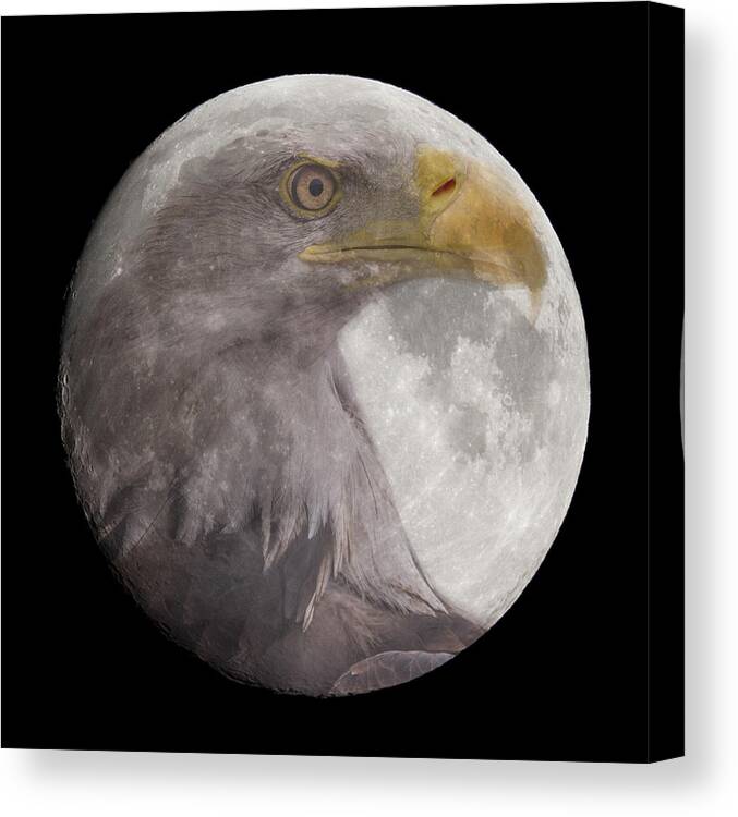 Moon Canvas Print featuring the photograph Bald Eagle in the Full Moon by Chris Smith