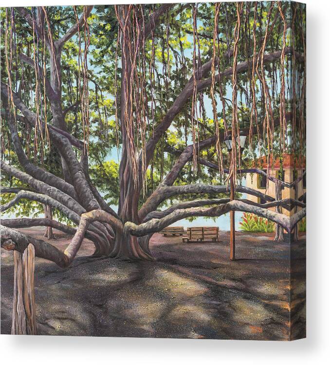 Landscape Canvas Print featuring the painting Banyan Tree Lahaina Maui by Darice Machel McGuire