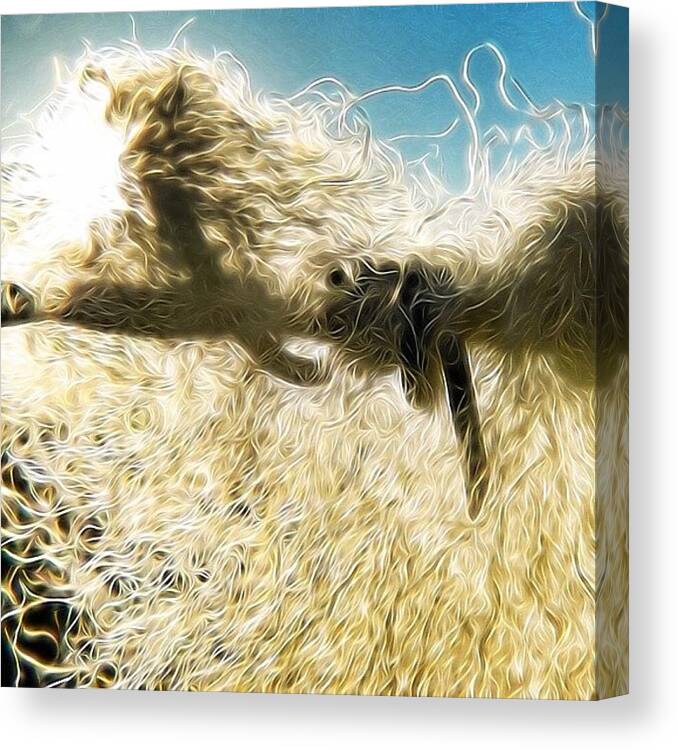 Barbed Canvas Print featuring the photograph Barbed-wool Fence.
#barbed #wool by Robert Campbell