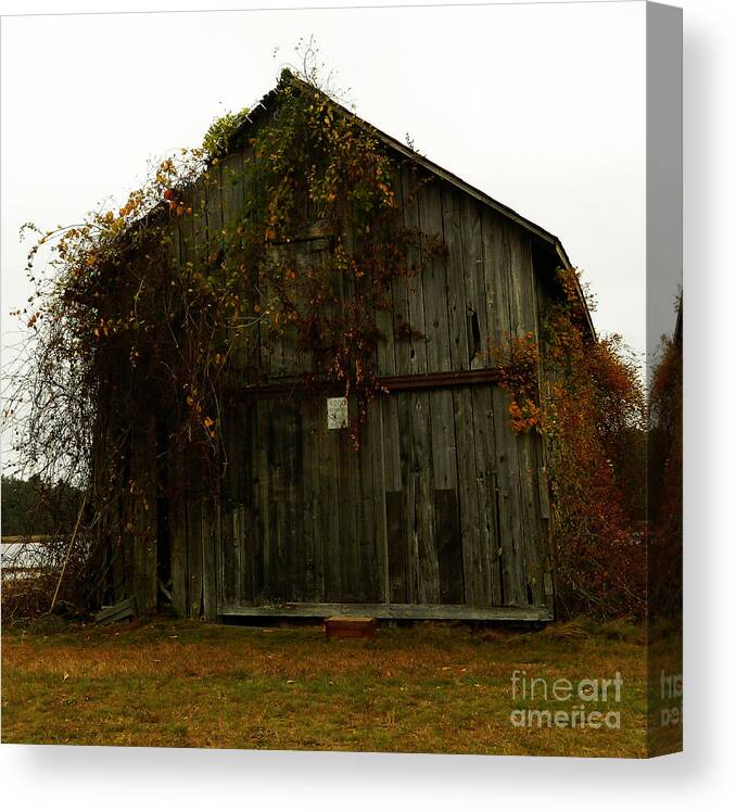 Fall Canvas Print featuring the photograph Barn by Andrea Anderegg