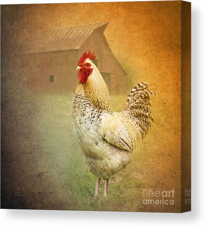 Rooster Canvas Print featuring the photograph Barnyard Boss by Betty LaRue