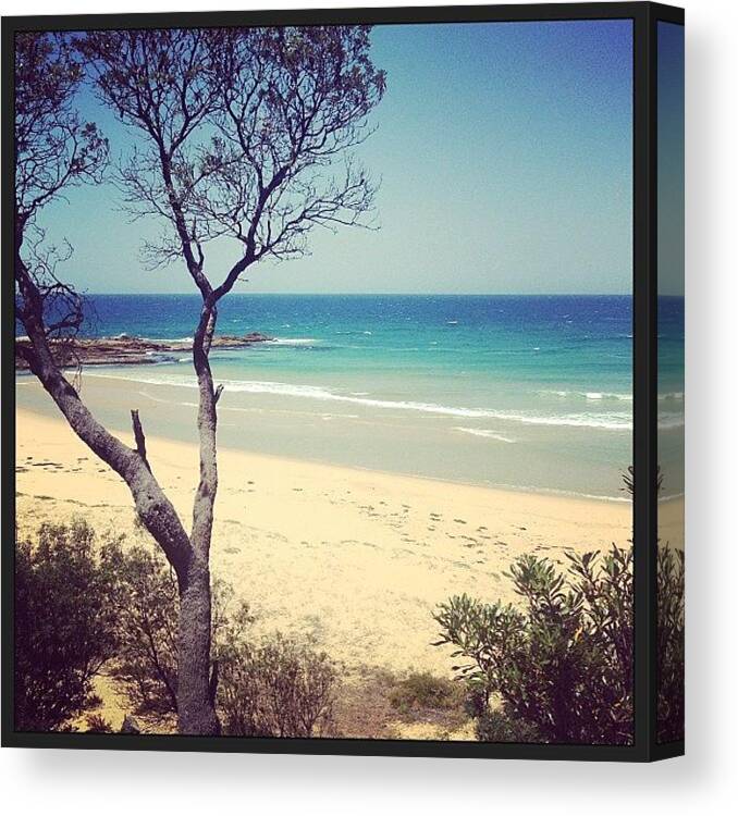 Mimosa Rocks Canvas Print featuring the photograph Beach Bliss by Pam Glucina