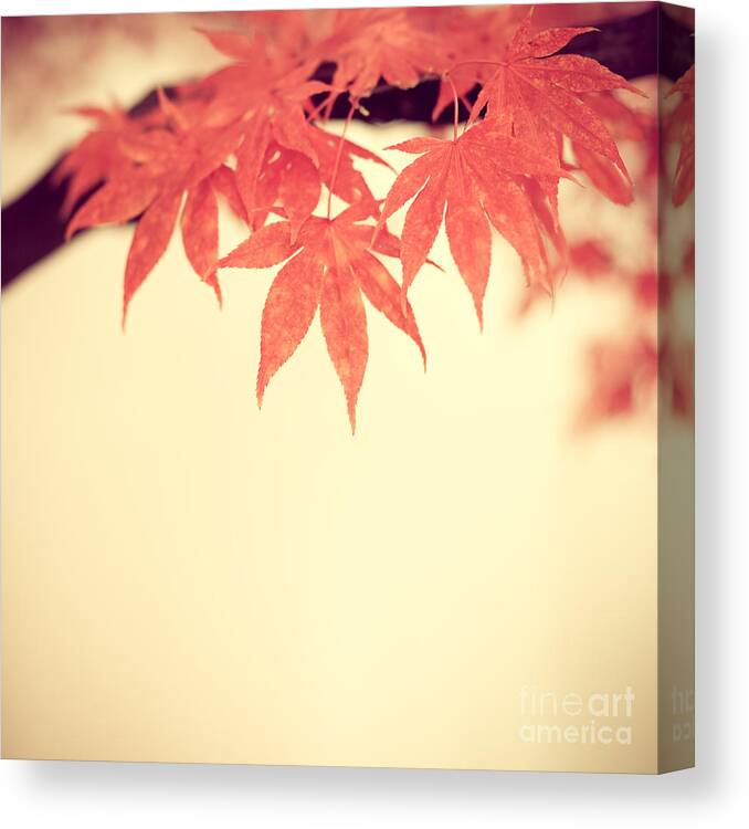 Autumn Canvas Print featuring the photograph Beautiful Fall by Hannes Cmarits