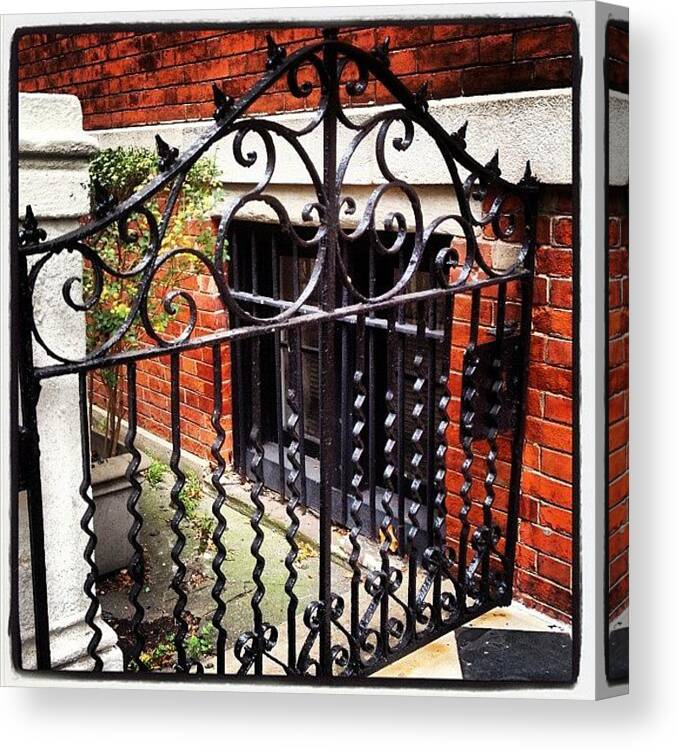  Canvas Print featuring the photograph Beautiful Gate On Nyu Campus by Teresa Mucha