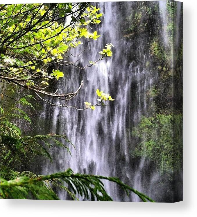 Beautiful Canvas Print featuring the photograph Beautiful Multnomah Falls Today by Mike Warner