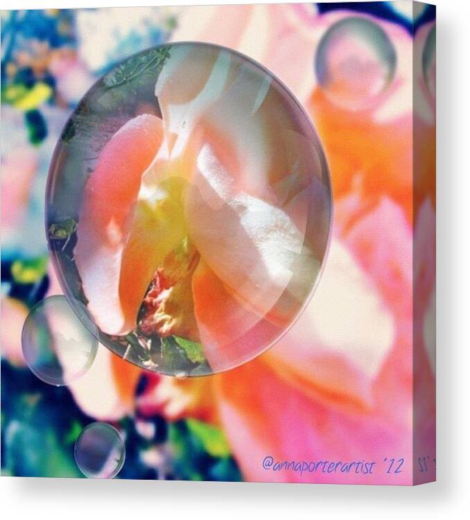 Floral Canvas Print featuring the photograph Beautiful Rose Marble - Autumn Light by Anna Porter