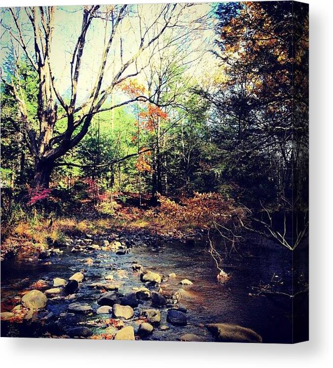 Autumn Canvas Print featuring the photograph #beauty #hiking #river #blackrock by Kristine Dunn