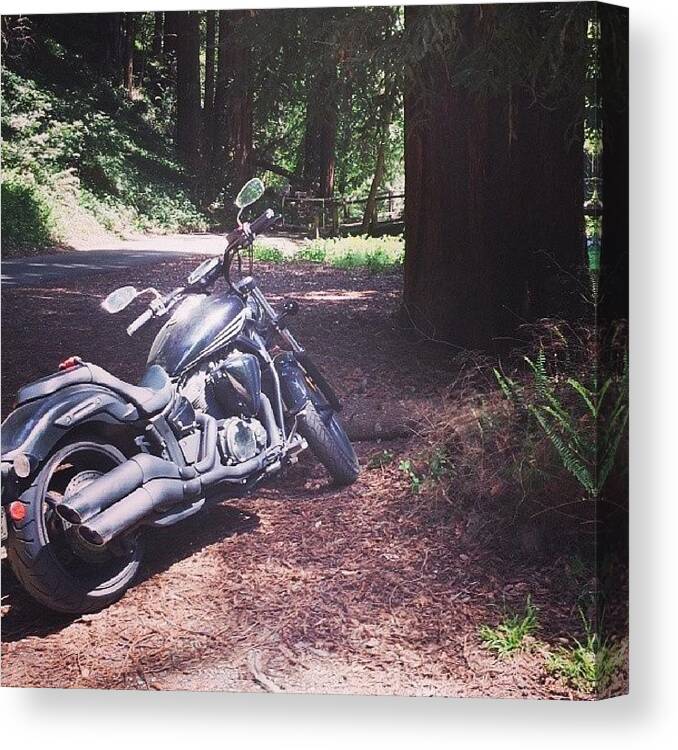 Instamoto Canvas Print featuring the photograph Bike Parked Outside My Cabin At Big Sur by Gene Bram