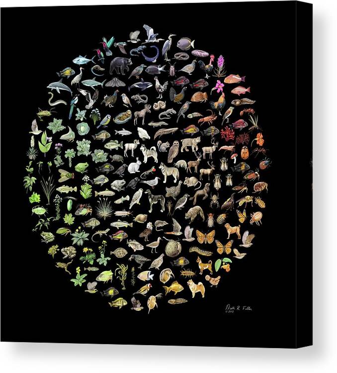 Animal Canvas Print featuring the photograph Biodiversity by Nicolle R. Fuller