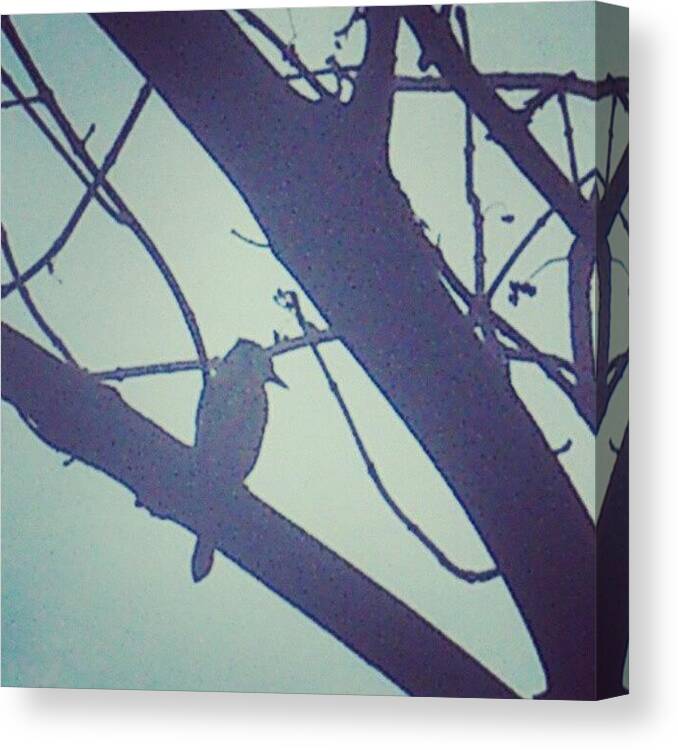  Canvas Print featuring the photograph Bird In The Tree by Rachel Maynard