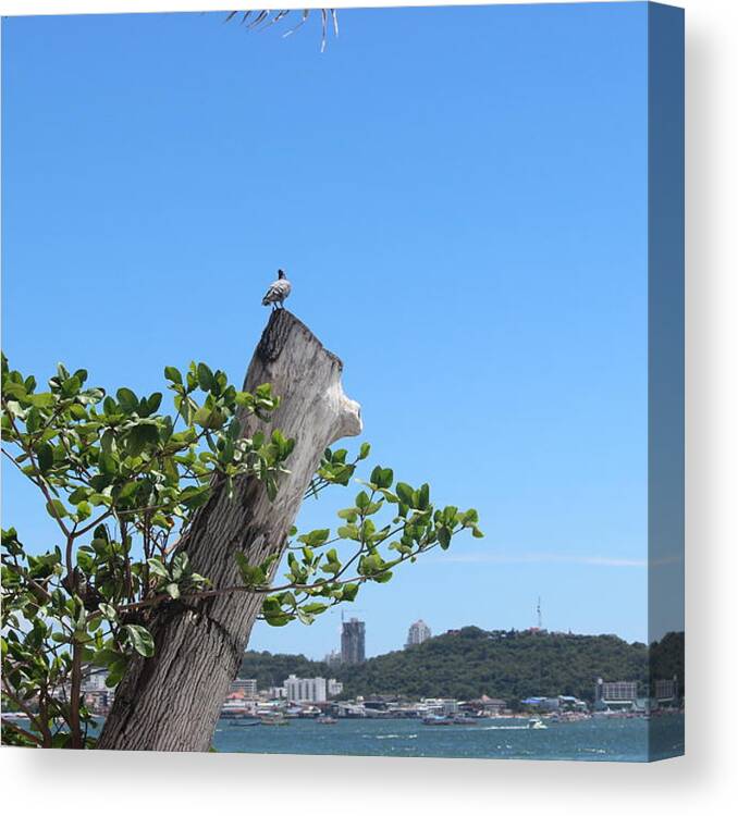 Bird On A Tree Canvas Print featuring the photograph Bird perched on a tree by Michael Kim