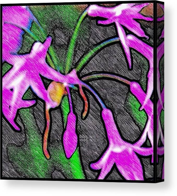Love Canvas Print featuring the photograph Birds of A Flower by SpYdR B