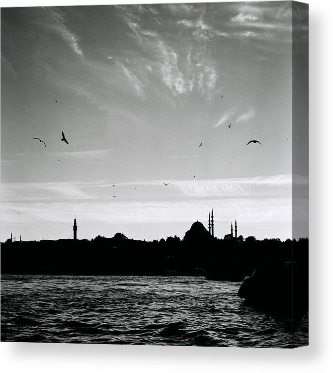 Sunset Canvas Print featuring the photograph Birds Over The Golden Horn by Shaun Higson