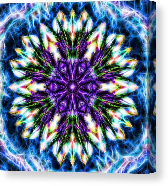 Mandala Canvas Print featuring the photograph Birth of the Purple Crystals Mandala by Beth Venner