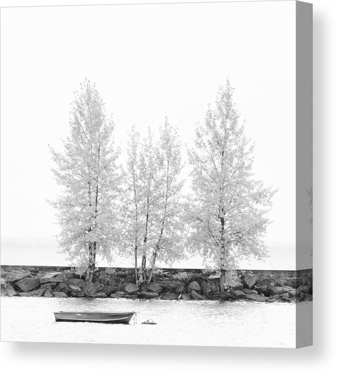 Autumn Canvas Print featuring the photograph Black and White Square Diptych Tree 12-7693 set 1 of 2 by U Schade