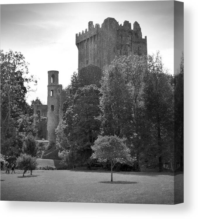 Ireland Canvas Print featuring the photograph Blarney Castle by Mike McGlothlen
