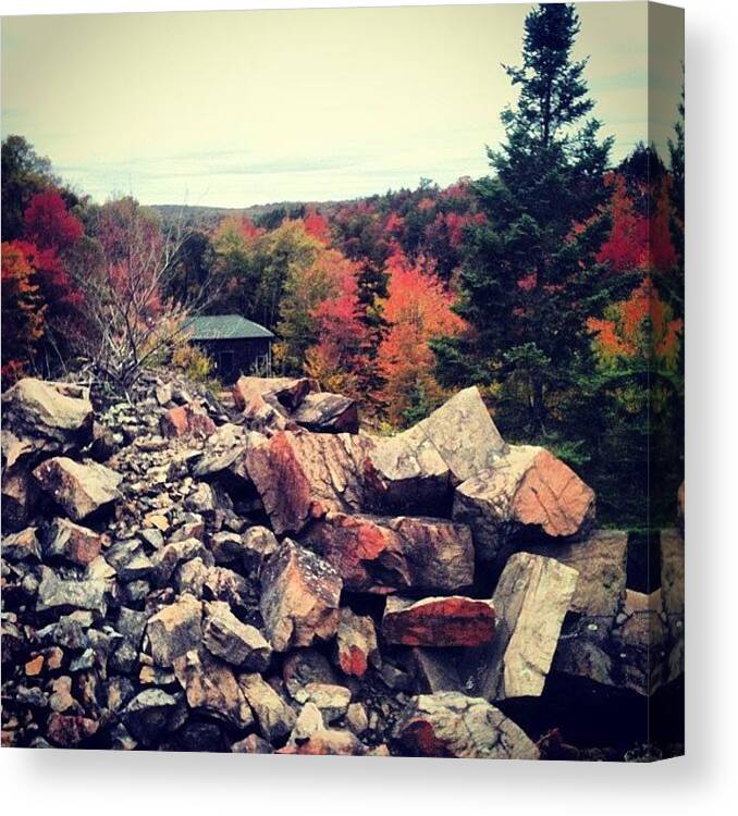 Eagle Canvas Print featuring the photograph Blasted #rubble And An Old by Dylan Ferris