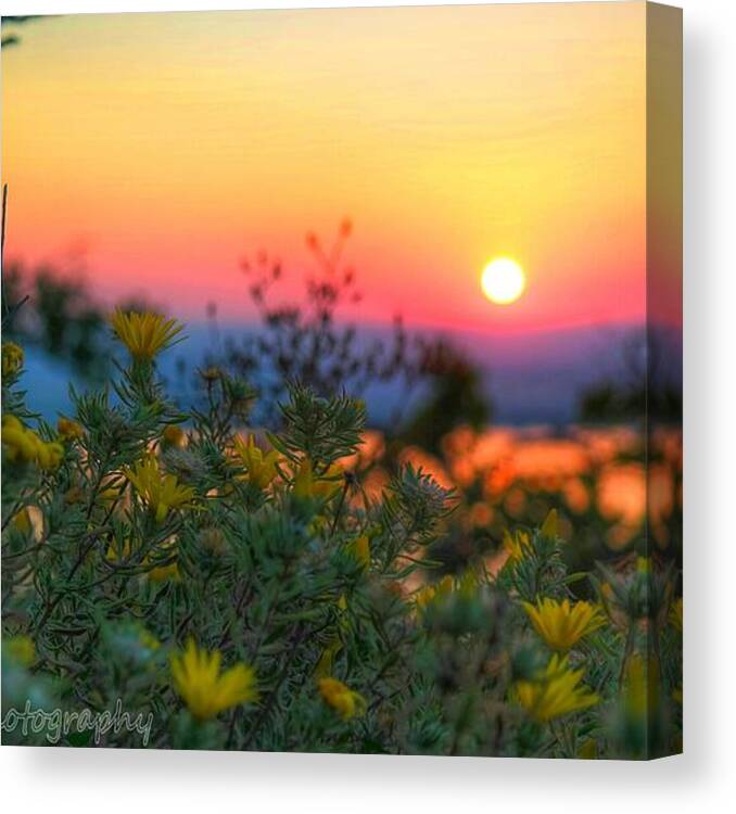 Sunset Canvas Print featuring the photograph Blazing Sun by Lance Kenyon