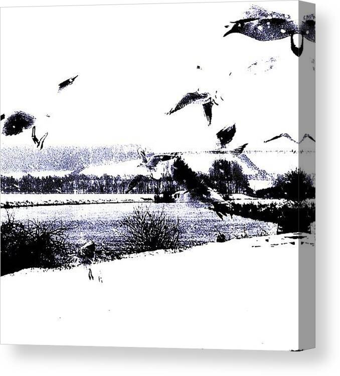 Instagramtags Canvas Print featuring the photograph Bleak Birds by Urbane Alien