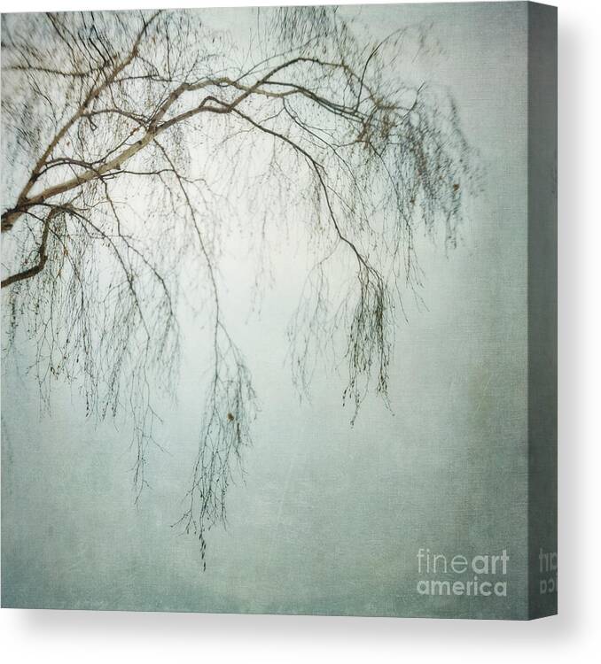Twig Canvas Print featuring the photograph bleakly III by Priska Wettstein
