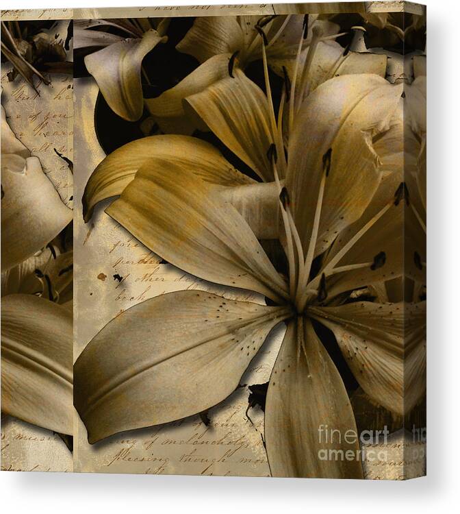  Canvas Print featuring the mixed media Bliss III by Yanni Theodorou