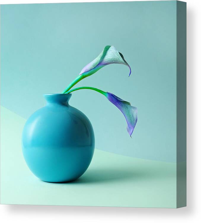 Calla Lily Canvas Print featuring the photograph Blue Calla Lilies In Blue Vase by Juj Winn