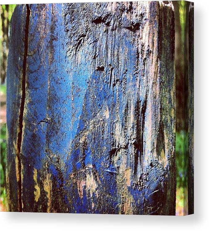 Iccloseups Canvas Print featuring the photograph Blue Painted Wood #iccloseups #painted by Nic Squirrell