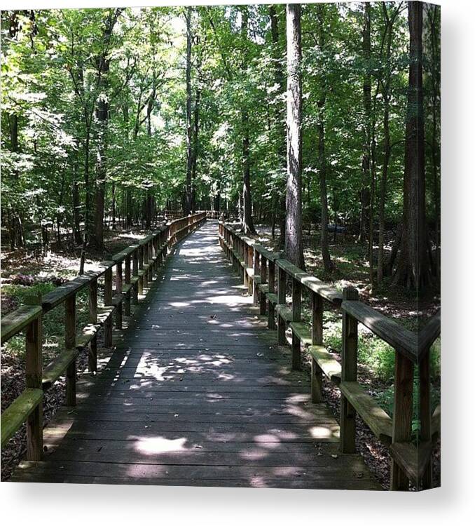 Beautiful Canvas Print featuring the photograph Boardwalk In The Woods(wc Johnson Park) by James Trammell