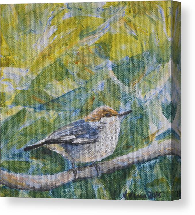 Bird Canvas Print featuring the painting Brown-headed Nuthatch - Birds in the Wild by Arlissa Vaughn