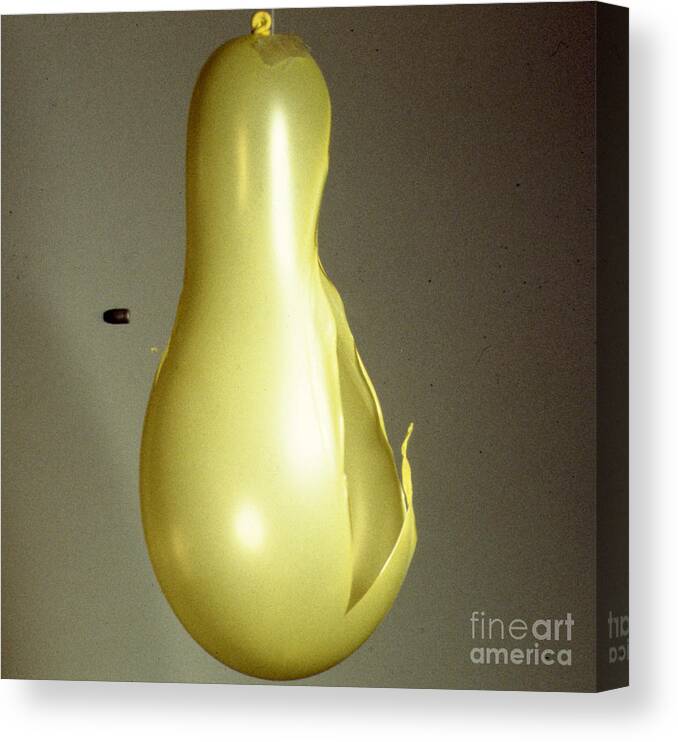 High Speed Photography Canvas Print featuring the photograph Bullet Piercing Balloon by Gary S. Settles