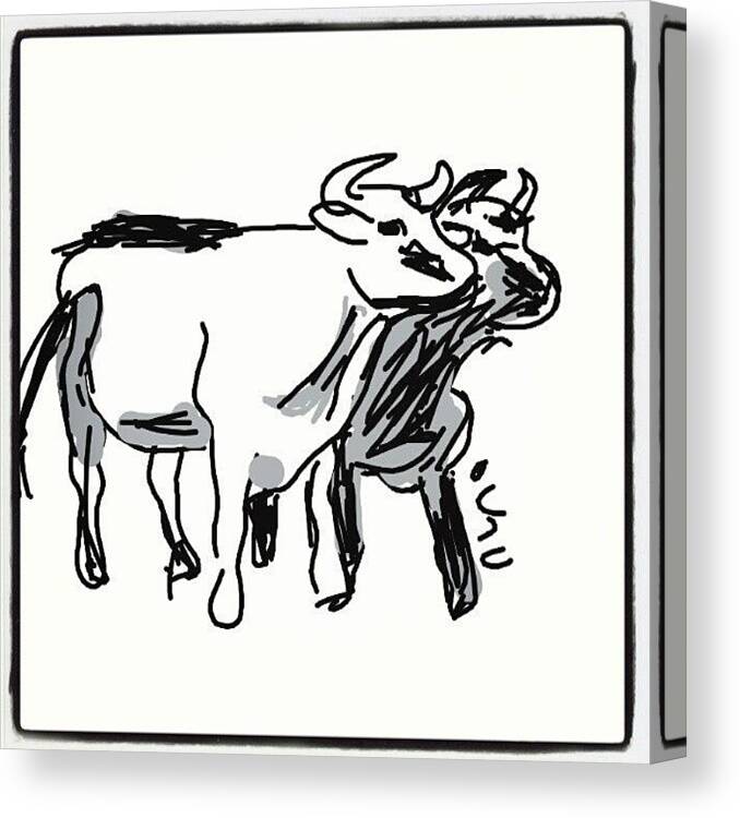 Draw Canvas Print featuring the photograph #bullsds #cartoon #bulls #sketch #paint by Nuno Marques