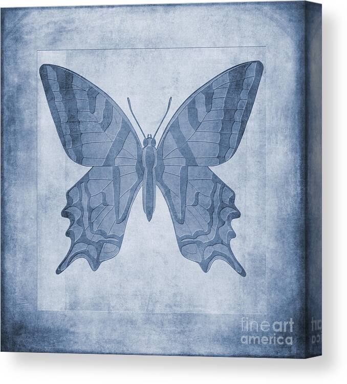 Lepidoptera Art Canvas Print featuring the digital art Butterfly Textures Cyanotype by John Edwards